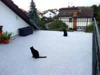 63165-muehlheim-raabstrasse-terrassensanierung-balkon-terrasse-sanierung-marmor-beschichtung-boden-belag-wagner-steinteppich-02_thumbnail_200x150px.jpg