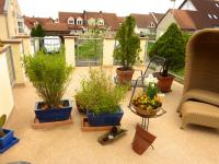 97265-hettstadt-brenndoerfel-terrasse-balkon-sanierung-beschichtung-wagner-steinteppich-04_thumbnail_200x150px.jpg